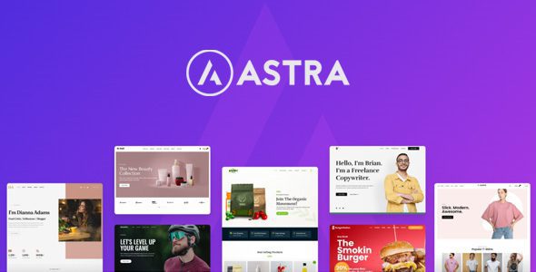 Astra 4.10.1 + Portfolio 1.13.1 – En Hızlı ve Popüler WordPress Teması